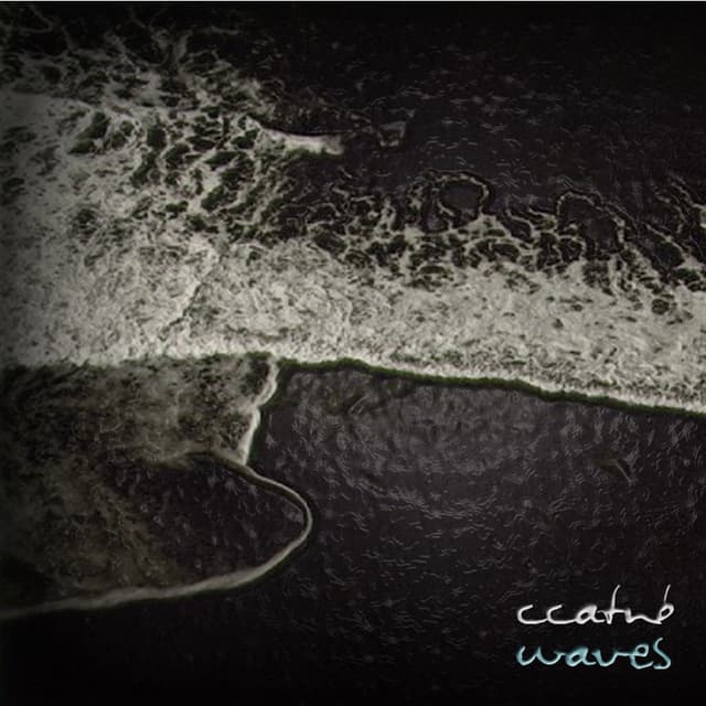 Album cover art for Waves