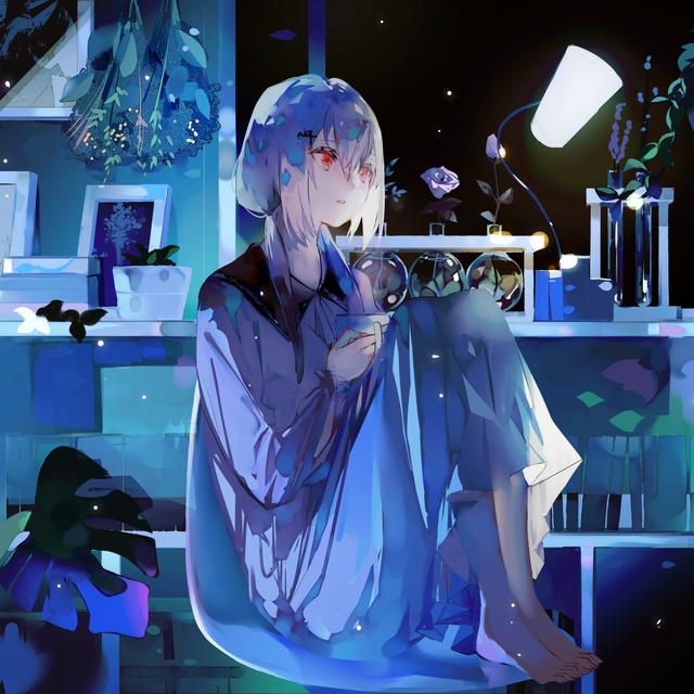 Album cover art for Touch the Night