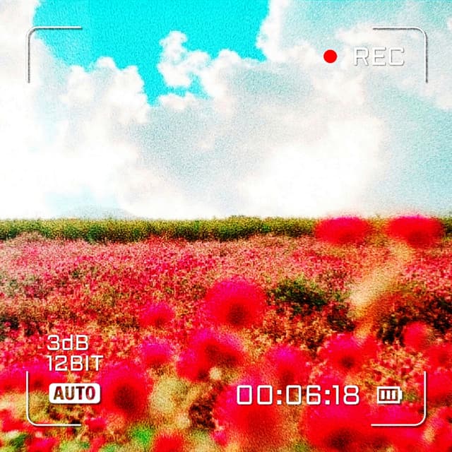 Album cover art for 꽃다발 다음엔 꽃밭