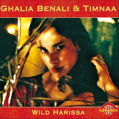 Album cover art for Wild Harissa