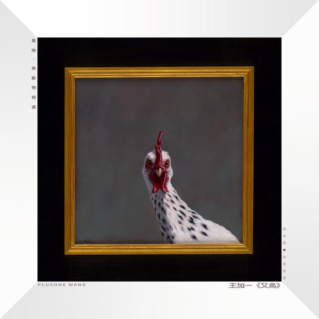 Album cover art for 又鳥