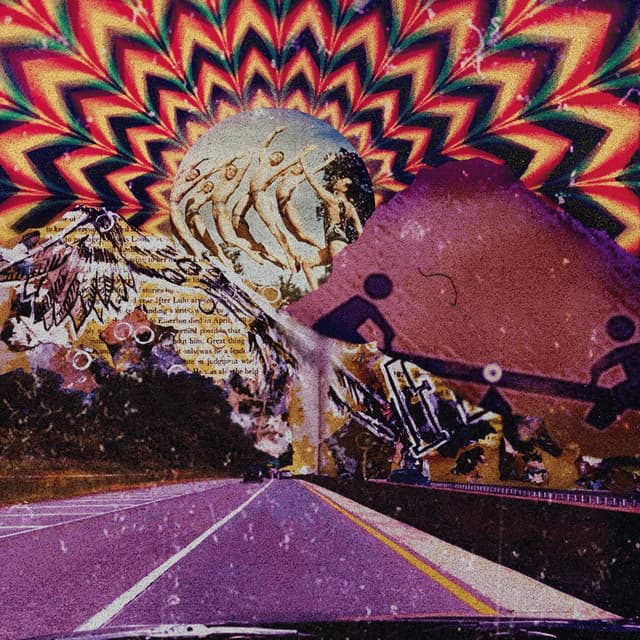 Album cover art for melt