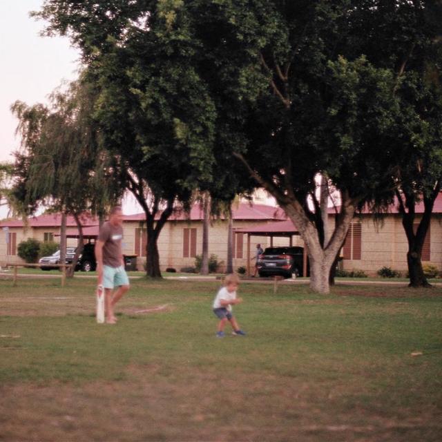 Album cover art for Always