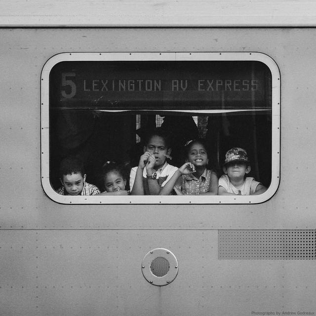 Album cover art for Hallelujah