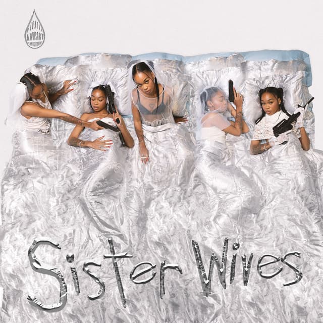 Album cover art for Sister Wives