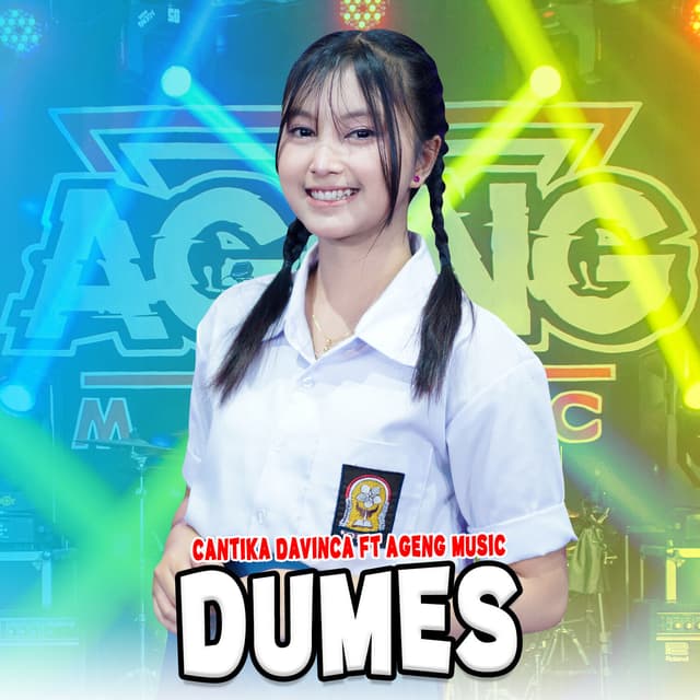 Album cover art for Dumes