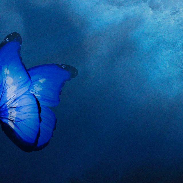 Album cover art for Sign