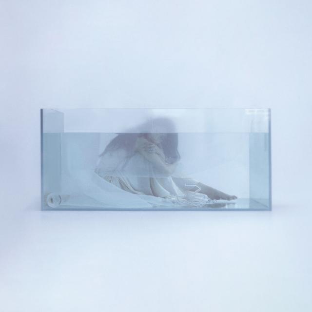 Album cover art for jellyfish