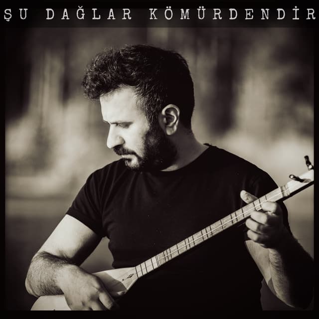 Album cover art for Şu Dağlar Kömürdendir