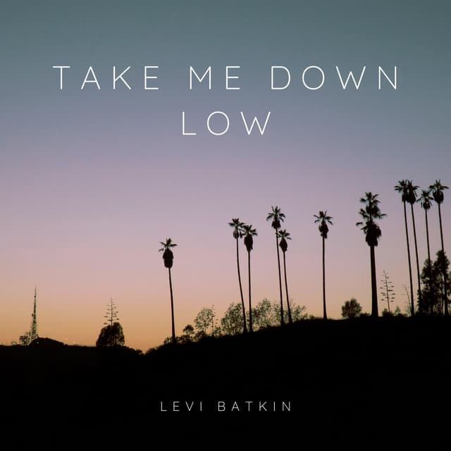 Album cover art for Take Me Down Low