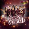 Amor Ilegal [En Vivo]