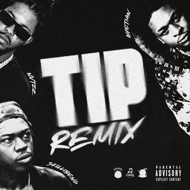 Album cover art for Tip (Remix)