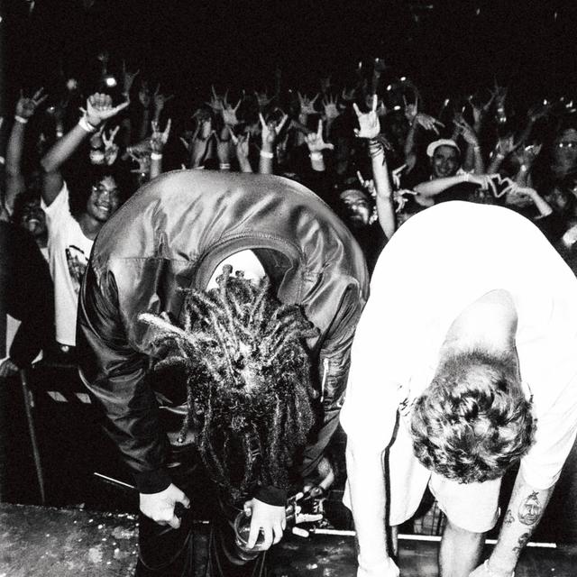 Album cover art for a última dança