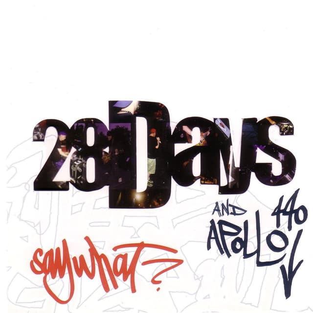 Album cover art for Say What?