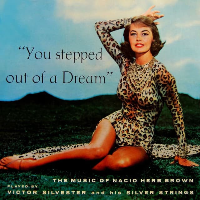 Album cover art for You Stepped Out Of A Dream