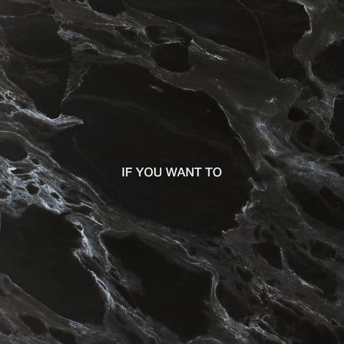 Album cover art for If You Want To