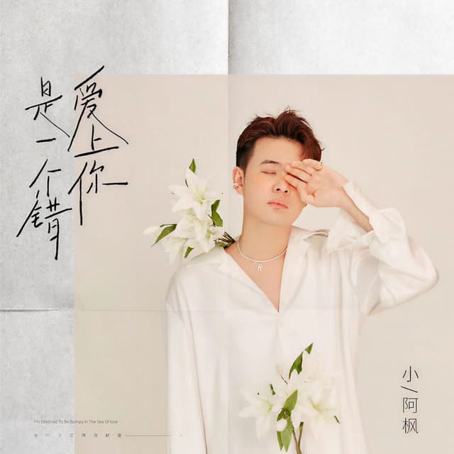 Album cover art for 爱上你是一个错