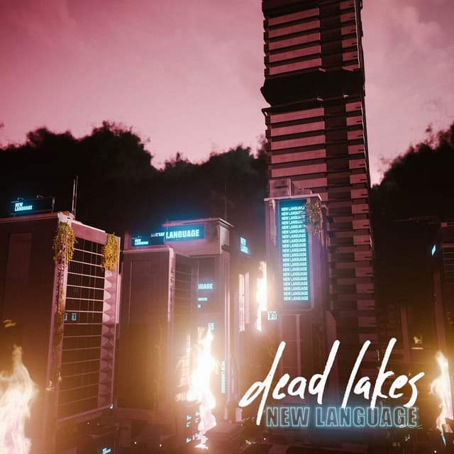 Album cover art for New Language
