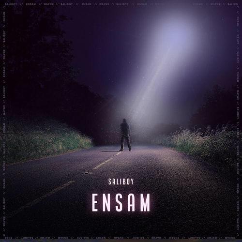 Album cover art for Ensam