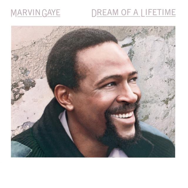 Album cover art for Dream of a Lifetime