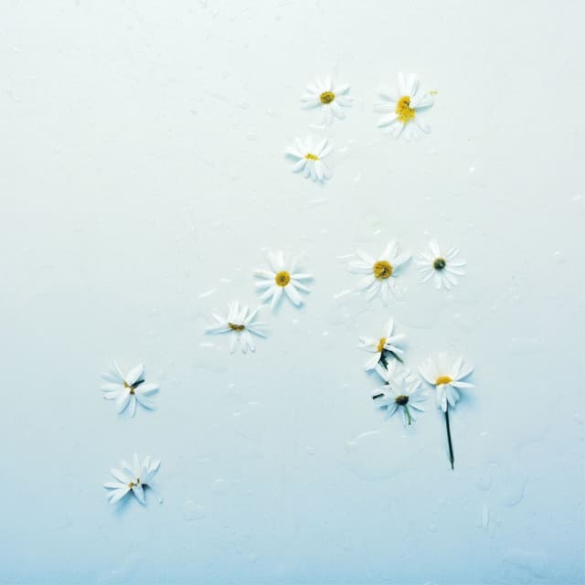 Album cover art for Orbit
