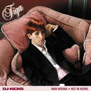 Album cover art for Hot In Herre