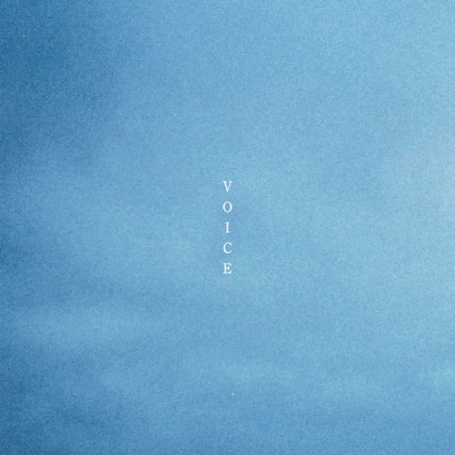 Album cover art for VOICE
