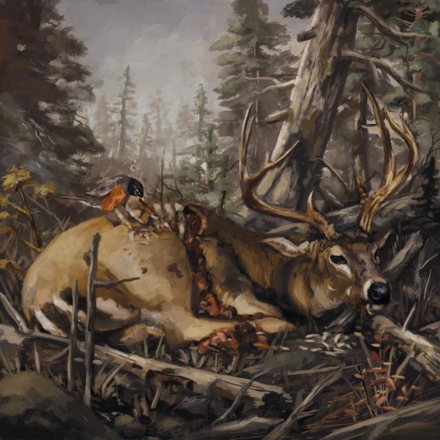 Album cover art for Failure Will Follow