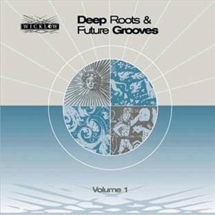 Album cover art for Deep Roots and Future Grooves