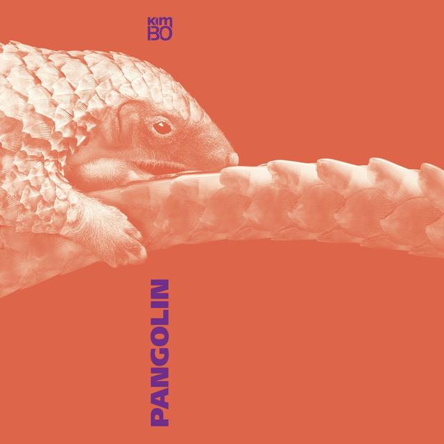 Album cover art for Pangolin