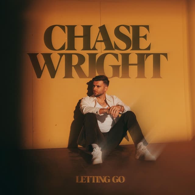 Album cover art for LETTING GO