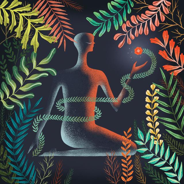 Album cover art for Don't Shy Away