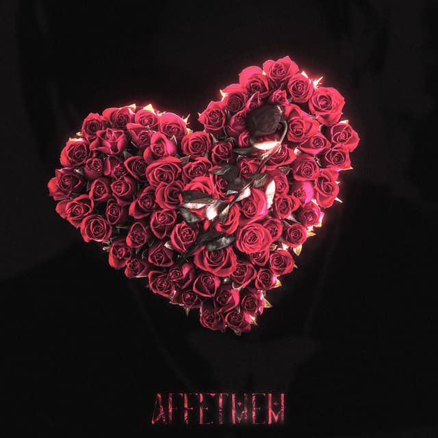 Album cover art for Affetmem