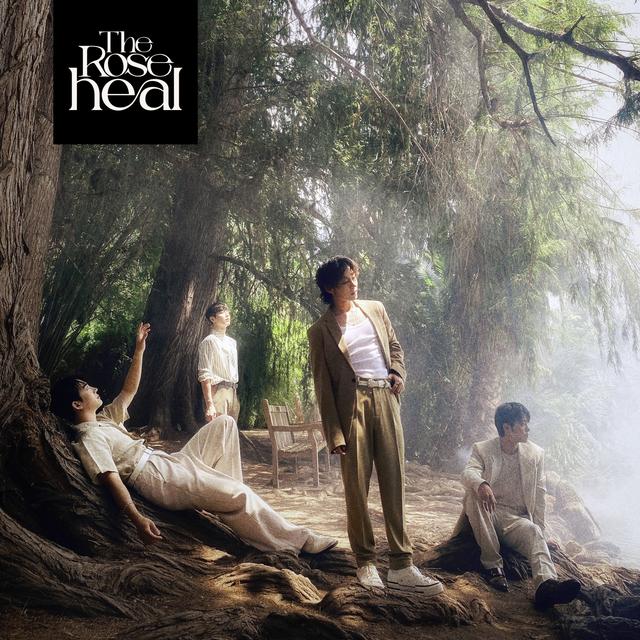 Album cover art for Heal