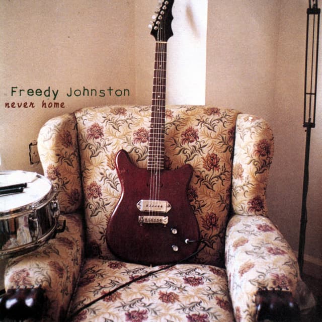 Album cover art for Never Home