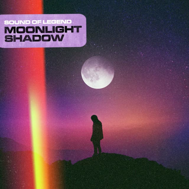 Album cover art for Moonlight Shadow