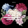 꽃길 FLOWER ROAD