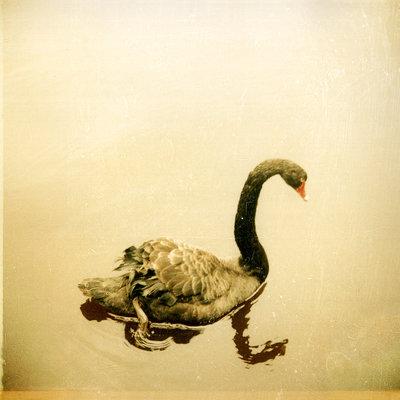 Album cover art for Crooked Fingers