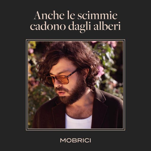 Album cover art for ANCHE LE SCIMMIE CADONO DAGLI ALBERI