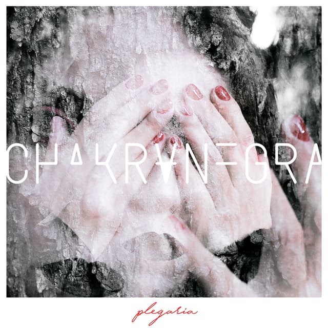 Album cover art for Plegaria