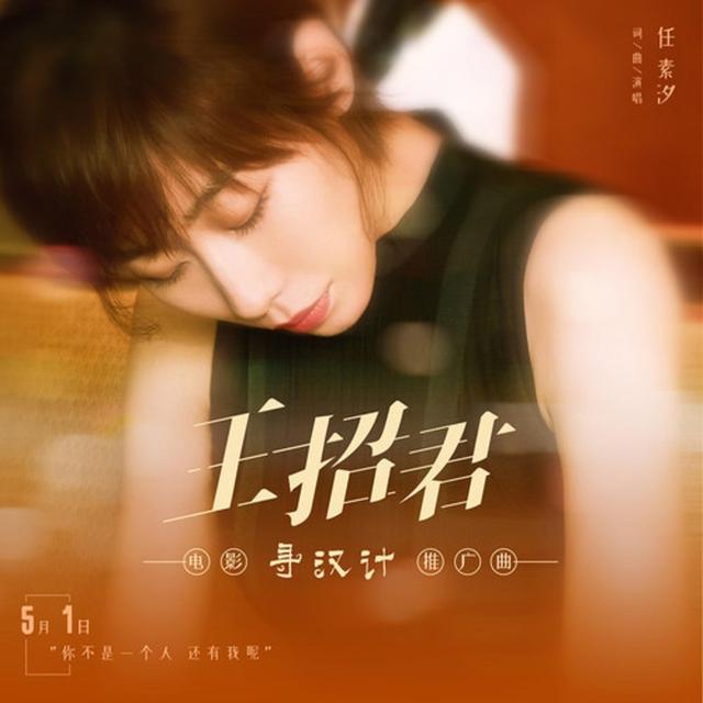 Album cover art for 王招君