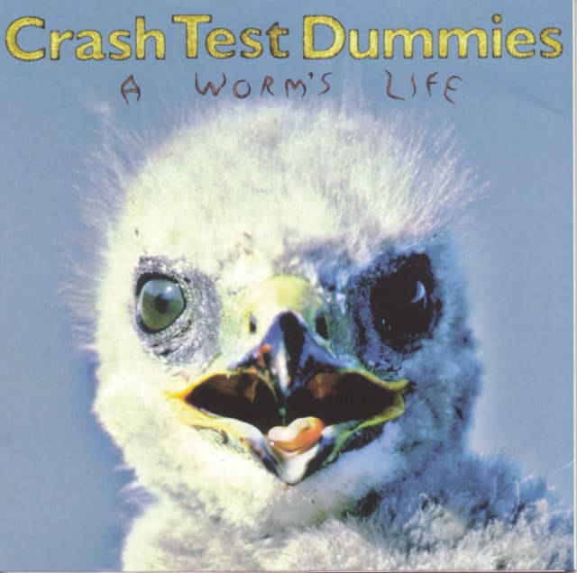 Album cover art for A Worm's Life