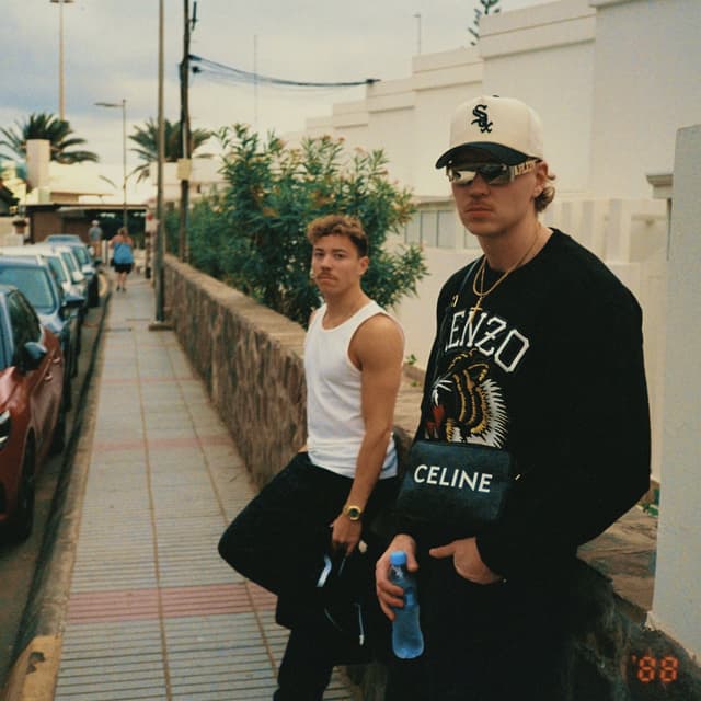 Album cover art for Vaisto