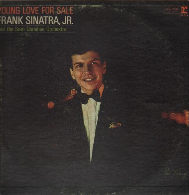 Album cover art for Young Love For Sale