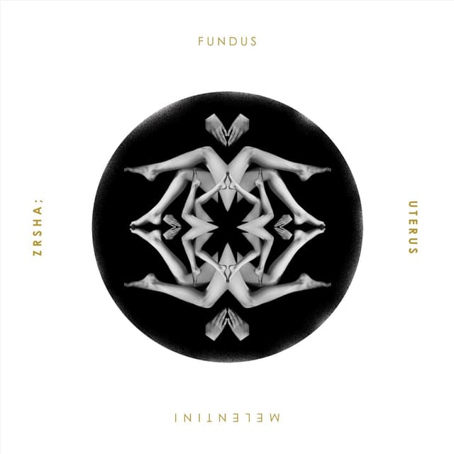 Album cover art for ZRSHA; Fundus Uterus