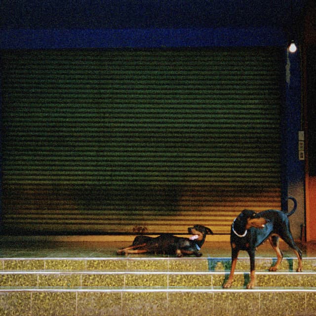 Album cover art for Pure Devotion