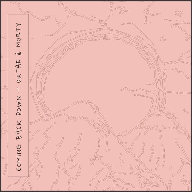 Album cover art for Coming Back Down