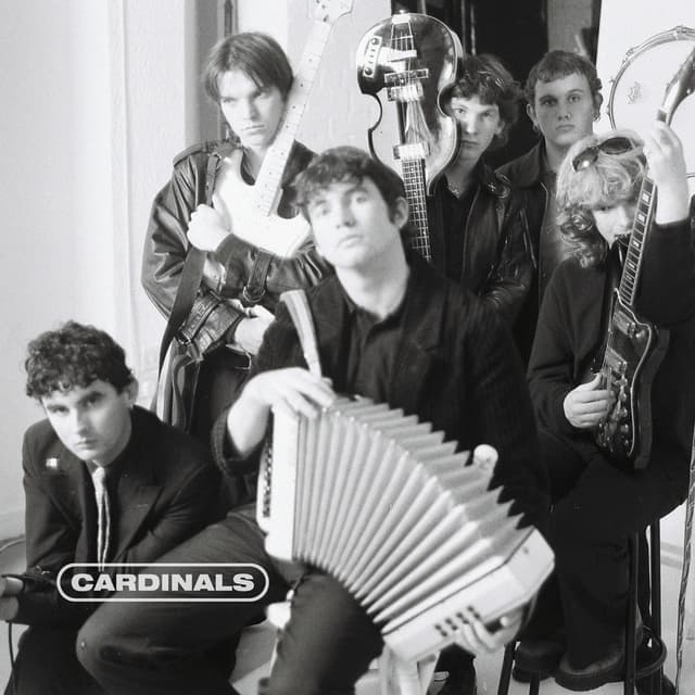 Album cover art for Cardinals