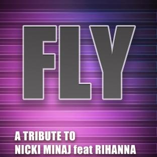 Album cover art for Fly