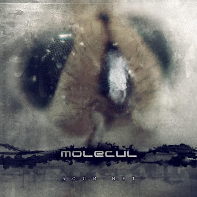 Album cover art for Боли.Net